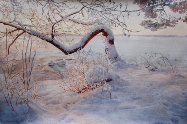 Victoria Kiryanova. Aksakovo. White frost, 2013
