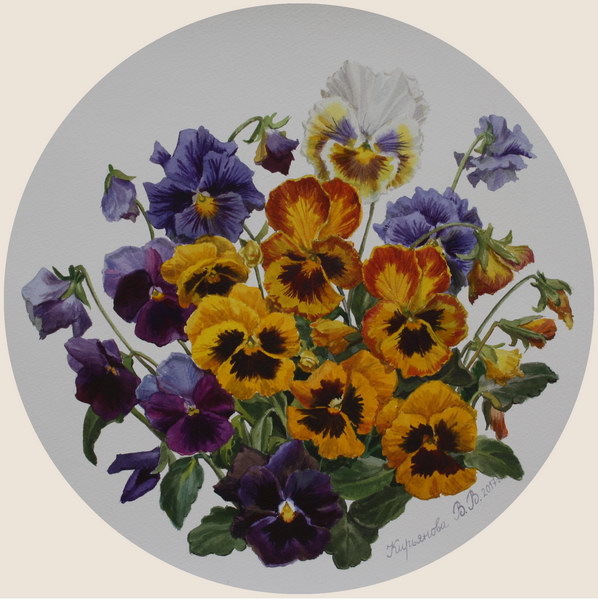Victoria Kiryanova. Pancy, 2017