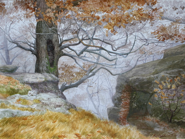 Victoria Kiryanova. Austria. Mountains. Misty morning, 2014