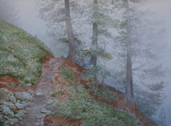 Victoria Kiryanova. Austria. Pathway into mist, 2015