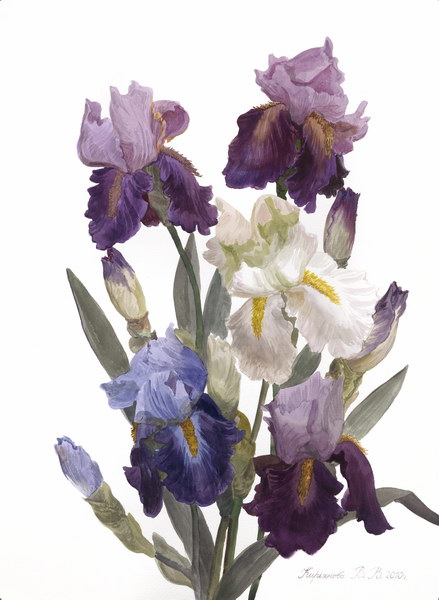 Victoria Kiryanova. Bouquet of irises, 2010