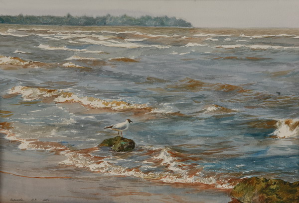 Victoria Kiryanova. Seagull, 2006