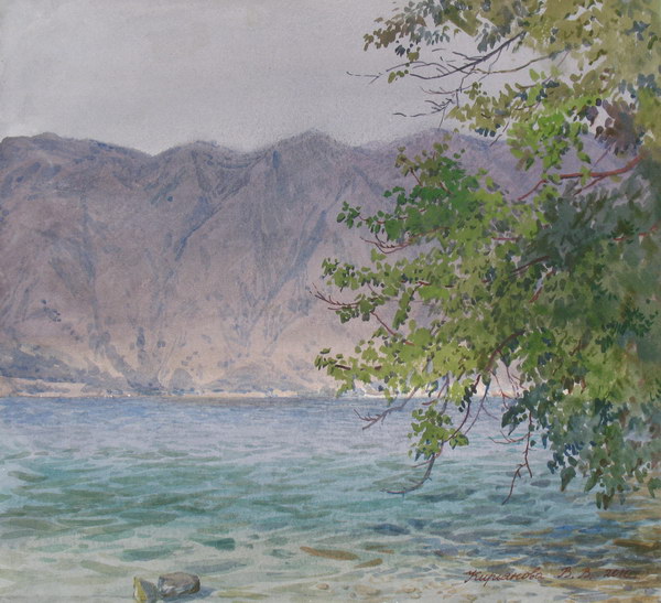 Victoria Kiryanova. Montenegro. Tree bending over sea, 2010