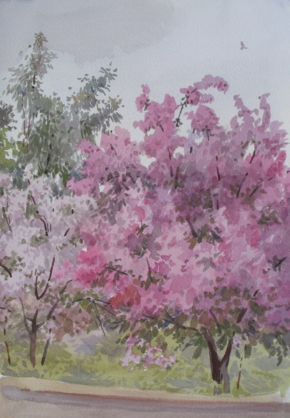 Victoria Kiryanova. Apple-tree in blossom, 2009