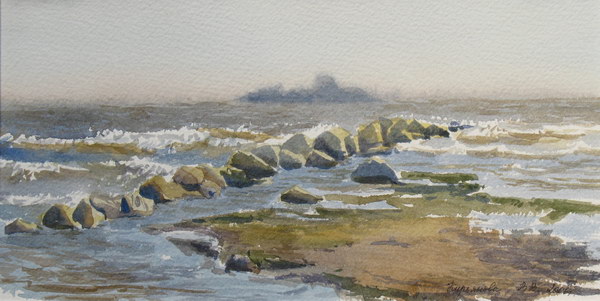 Victoria Kiryanova. Gulf of Finland. Surf, 2006