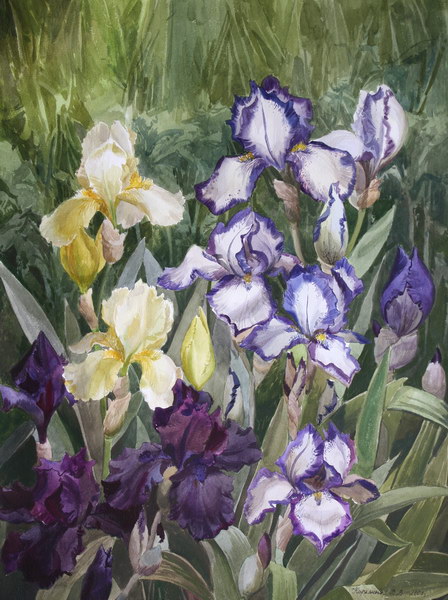 Victoria Kiryanova. Irises in garden, 2007