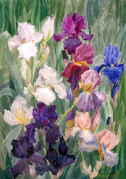 Victoria Kiryanova. Irises, 2004
