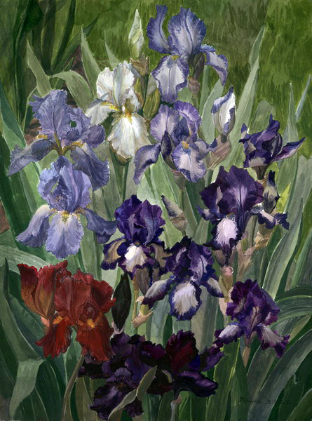 Victoria Kiryanova. Irises, 2005