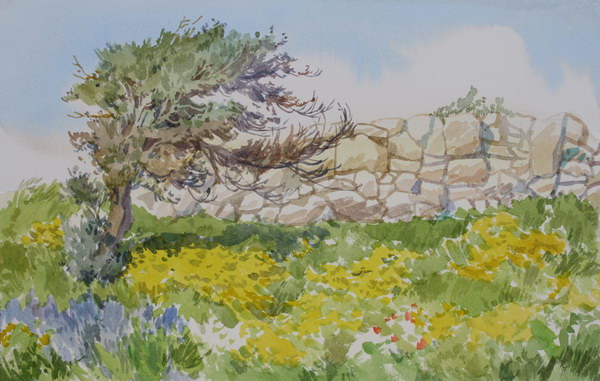 Victoria Kiryanova. Cyprus. Blooming Curion, 2011