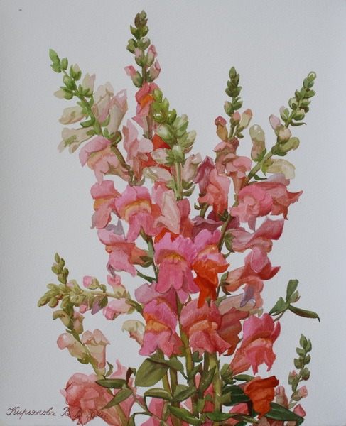 Victoria Kiryanova. Snapdragon, 2014