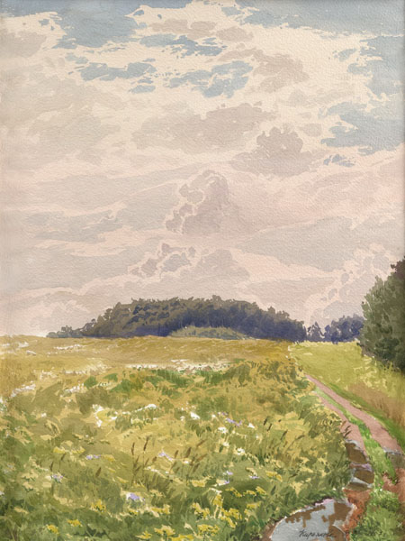 Victoria Kiryanova. Clouds. Blooming meadow, 2007