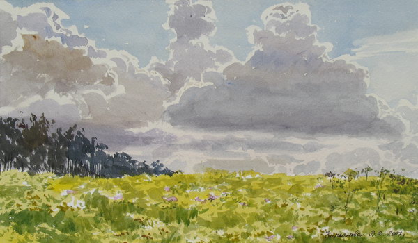 Victoria Kiryanova. Clouds over meadow in blossom, 2007