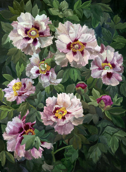 Victoria Kiryanova. Peonies, 2005