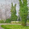 Baden. Spring, 2010
29.7x42 cm; ������� �� ���������