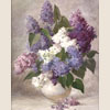Bouquet of lilac, 2007
40x30 cm; ������� �� ���������