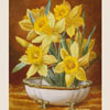 Bunch of narcisus, 2011
33x25.5 cm; ������� �� ���������