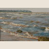 Seagull, 2006
45x65.5 cm; ������� �� ���������