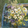 Summer bouquet, 2008
61x44 cm; ������� �� ���������