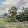 Trees near Bykovo-village, 2008
28.5x31 cm; ��� ������� ����� ������