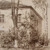 Small house in Khotkovo, 2008
34x36 cm; ��� ������� ����� ������