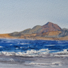 Egypt. Red Sea, 2008
10x19.5 cm; ��� ������� ����� ������