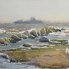 Gulf of Finland. Surf, 2006