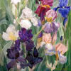 Irises, 2004
76x56 cm; ������� �� ���������