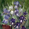 Irises, 2005
76x56 cm; ������� �� ���������