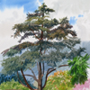 Crimea sketch, 2005
25.5x25 cm; ��� ������� ����� ������