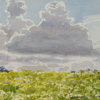 Clouds over meadow in blossom, 2007
21x35 cm; ��� ������� ����� ������