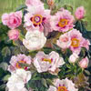 Peonies, 2004
76x56 cm; ������� �� ���������