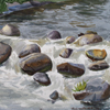 Rapids on river Vorya, 2008
28.5x31 cm; ��� ������� ����� ������