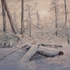 Snowy morning, 2015
46.5x63 cm; ������� �� ���������