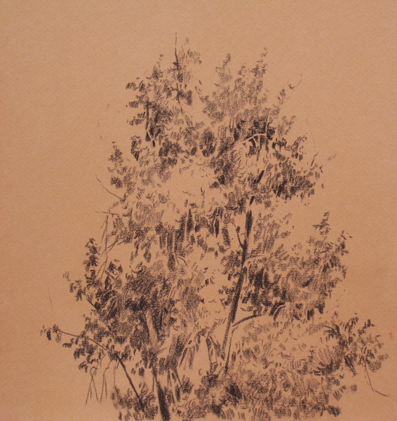 Victoria Kiryanova. Pencil drawing of tree, 2008