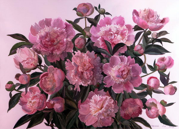 Victoria Kiryanova. Rose peonies, 2007