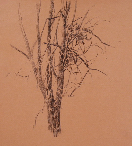Victoria Kiryanova. Dry tree, 2008