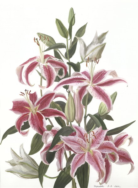Victoria Kiryanova. Tiger-coloured lilies, 2007