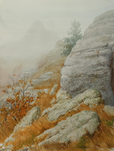 Victoria Kiryanova. Mist in mountains, 2014