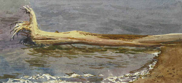 Victoria Kiryanova. Fallen tree, 2009