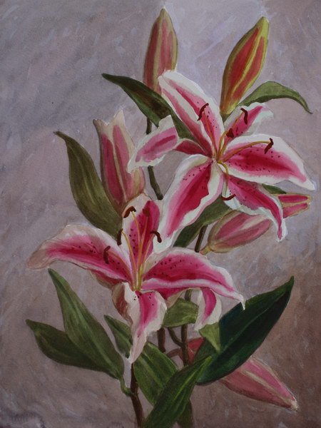 Victoria Kiryanova. Branch of tiger-coloured lily, 2011