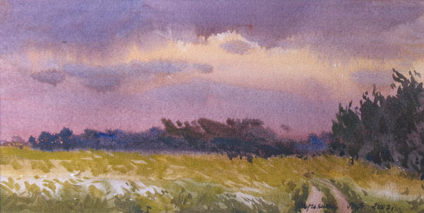Victoria Kiryanova. Sunset over field, 2007
